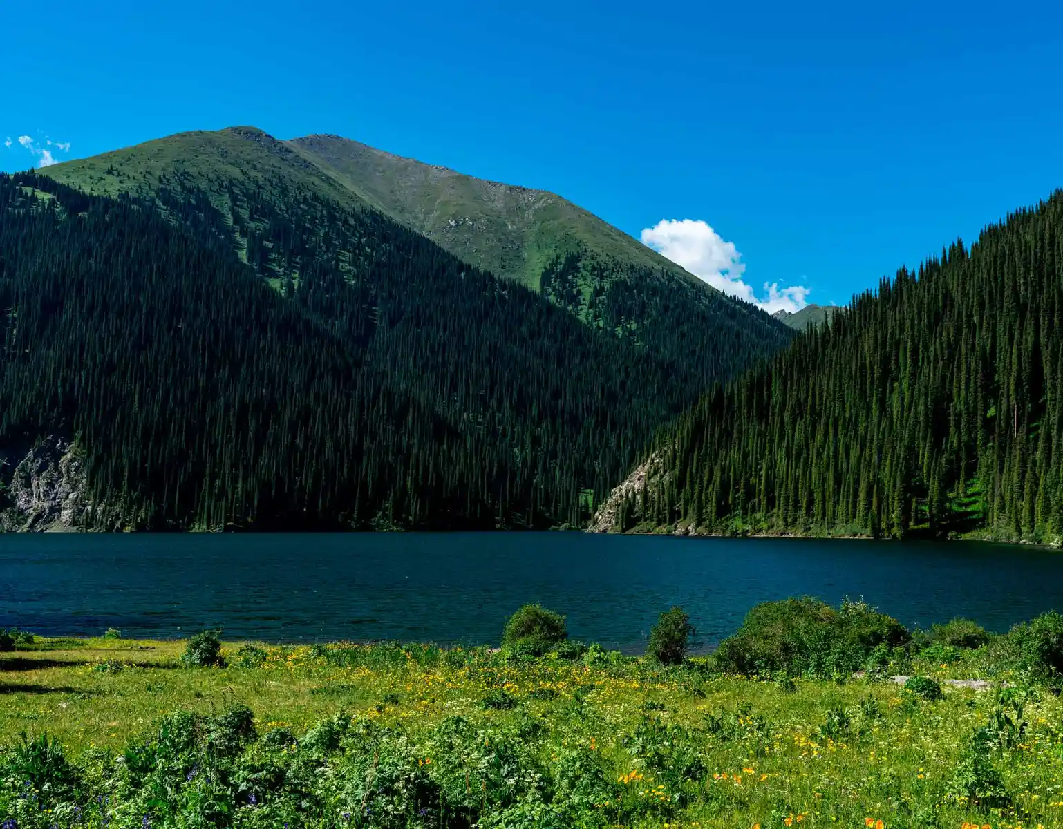 Kolsai's second lake with dark blue water framed by dense pine forest and a wildflower meadow